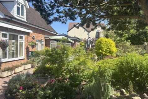 New Garden 6.jpg