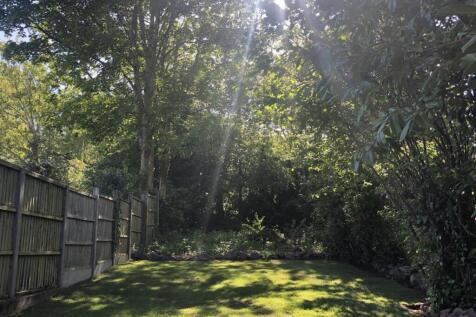 133 Newtown  Road Garden.jpg