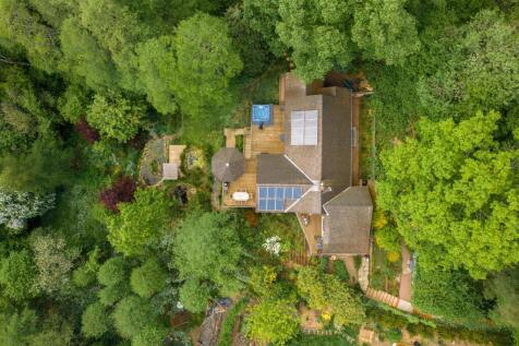 DJI_0036.jpg