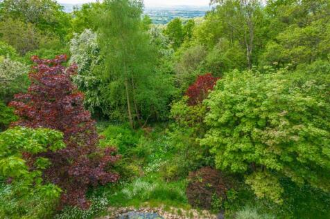DJI_0055.jpg