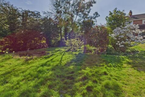 CAM02541G0-PR0434-STILL036.jpg