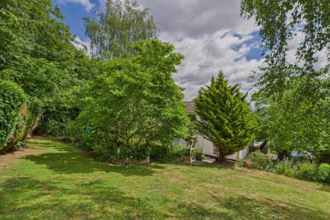 CAM02541G0-PR0485-STILL029.jpg
