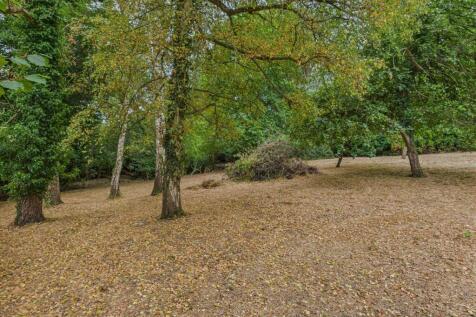 CAM02541G0-PR0507-STILL028.jpg