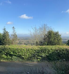 View shot.jpg