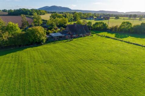 DJI_0586.jpg