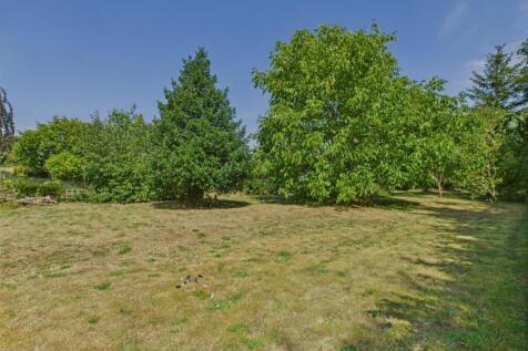 CAM02541G0-PR0534-STILL027.jpg