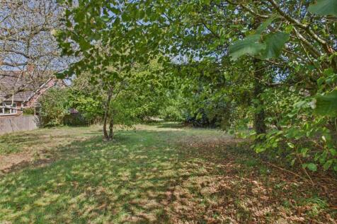 CAM02541G0-PR0534-STILL028.jpg