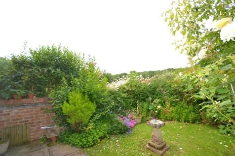 DSC_0111.JPG