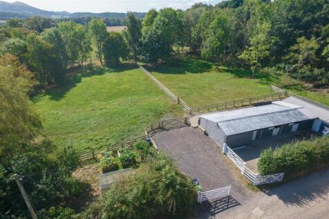 DJI_0312.jpg