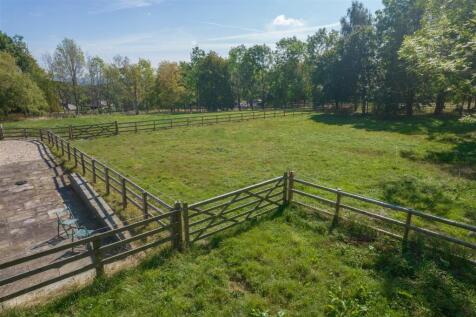 DJI_0303.jpg