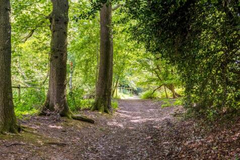 Property Image 30