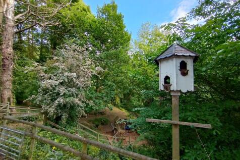 Property Image 39