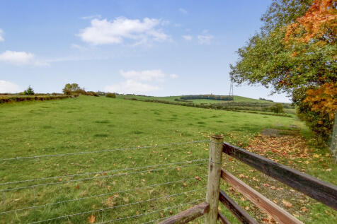 Nearby Views/Walk...