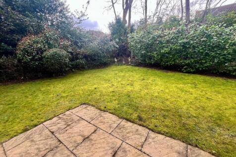 garden.jpg