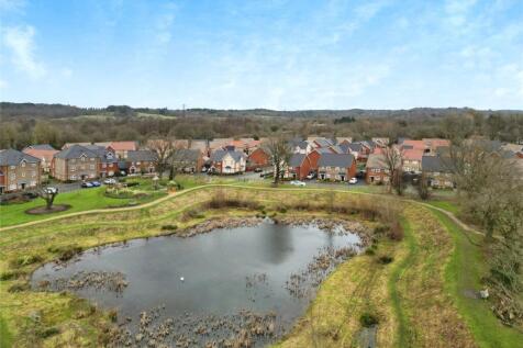 Pond