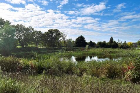 Pond