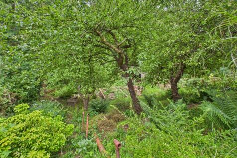 Lower Garden