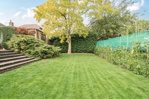 1357616-5-68e3b1a...