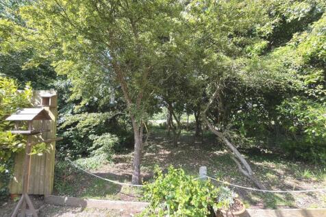 View out from the garden