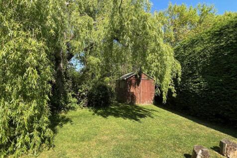Willow Tree and shed