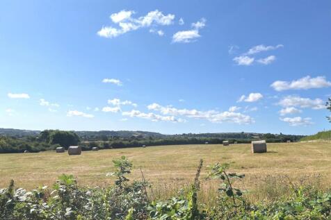 View from the garden