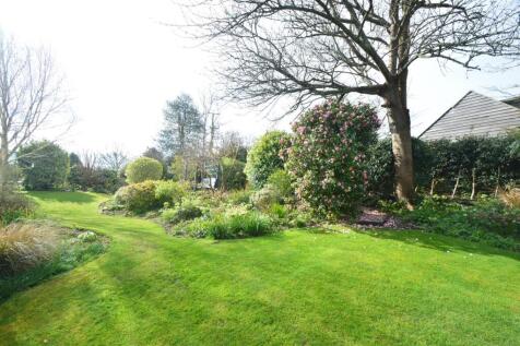 Garden1.JPG