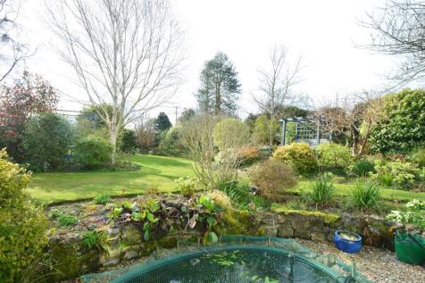 Garden2.JPG