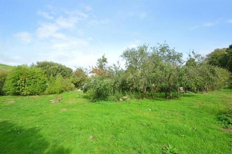resizedOrchard3.jpg