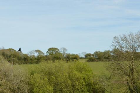 DSC_0386.JPG