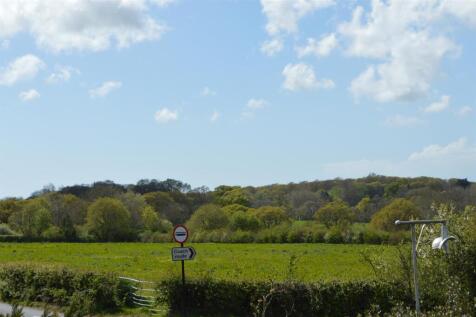 DSC_3499.JPG