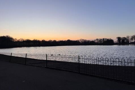 Taylor Park