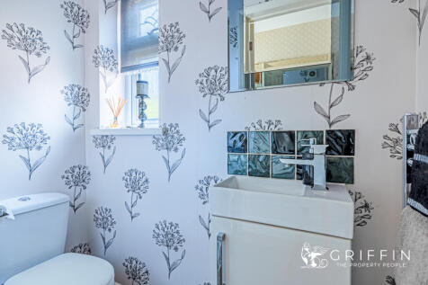 Toilet Downstairs