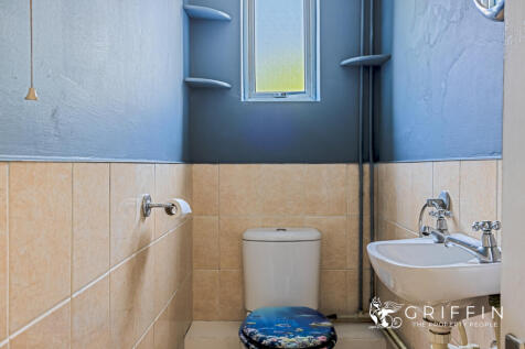 Toilet Downstairs