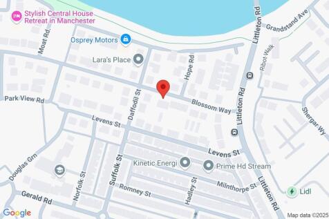 Google Maps Image
