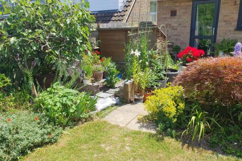 Property Image 14