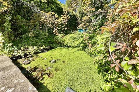 Pond