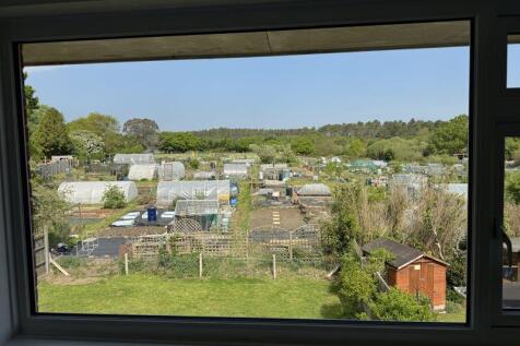 Bedroom View