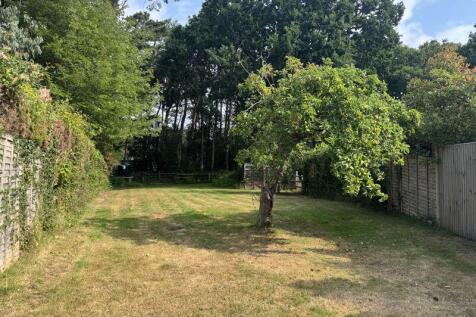 Back Garden