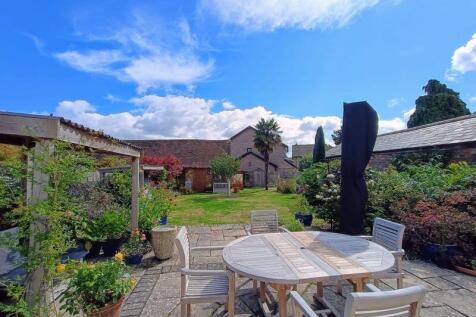 Back Garden