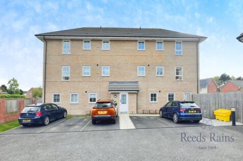 Rear &amp; Parking