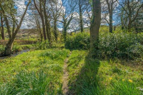 THE WOODLAND