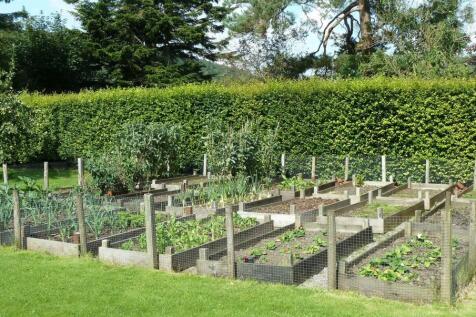 FRUIT AND VEGETABLE GARDEN