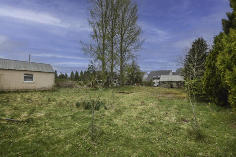 DSC_0847-Edit