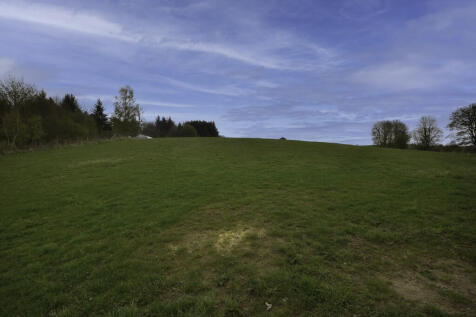 DSC_1116-Edit