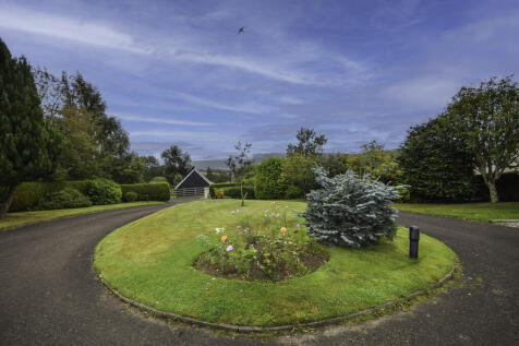 DSC_0234-Edit