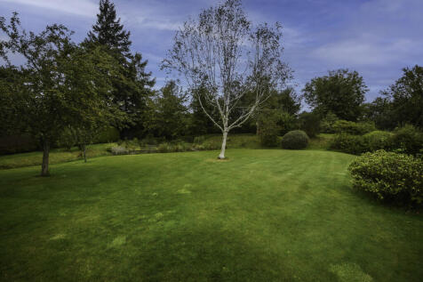 DSC_0238-Edit