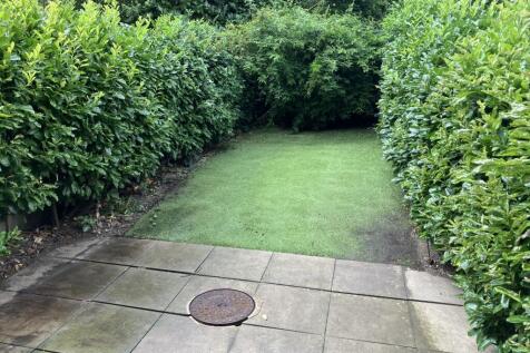 garden (2)
