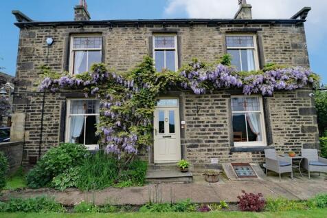 WOODBINE WISTERIA