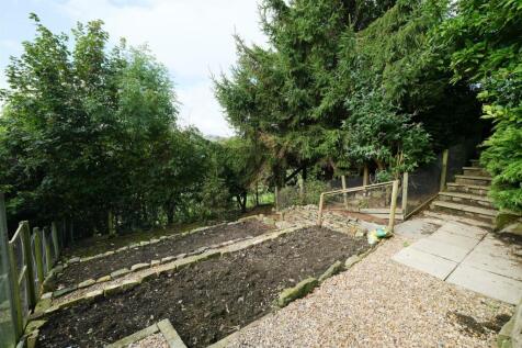 VEG PLOT