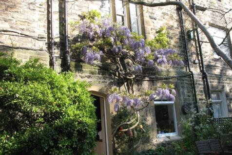 WISTERIA